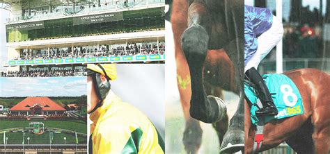 bet365 Gold Cup: Date, venue, runners, history & more.